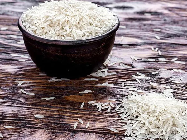 Global rice conference kickstarts in New Delhi