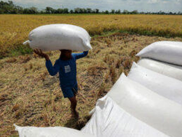 Rice tariff consultations conclude; draft amendments due by Nov. 10