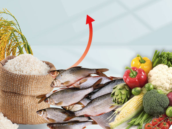 Rice and fish drive food inflation in October, while vegetables help ease price pressures: Report