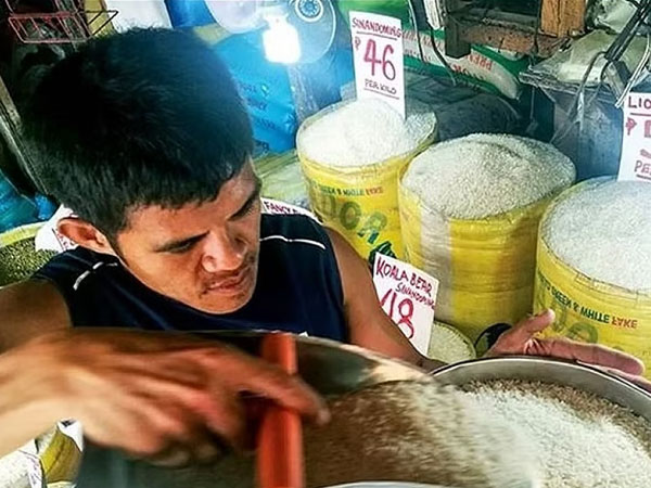 Rice prices in Cebu soar P500 per sack