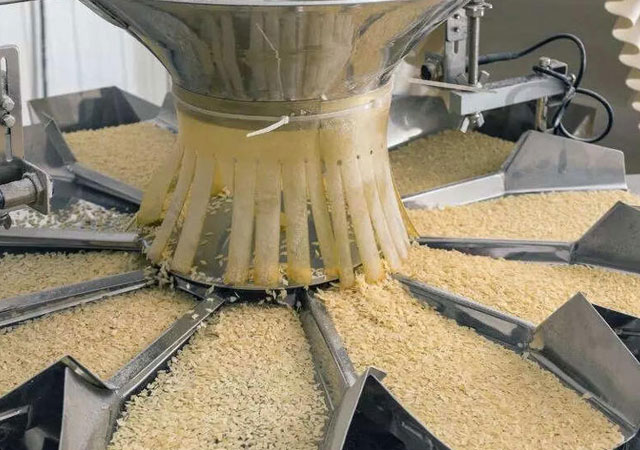Bring back AI-based grain testing: Punjab rice industry