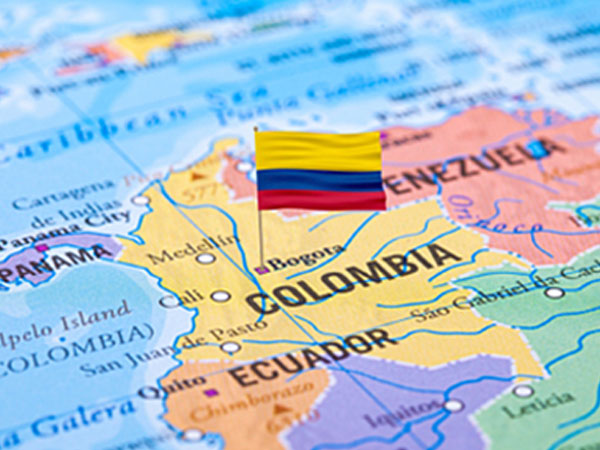 Market Access & Promotion