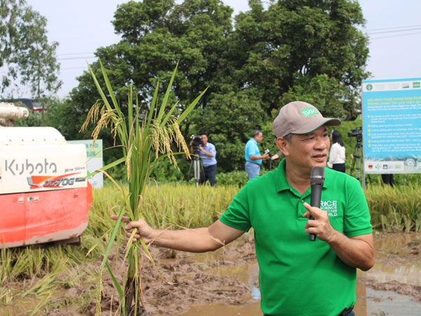 From Pilot to Proof: The Operational Success of Precision Rice Farming in Vietnam’s Red River Delta