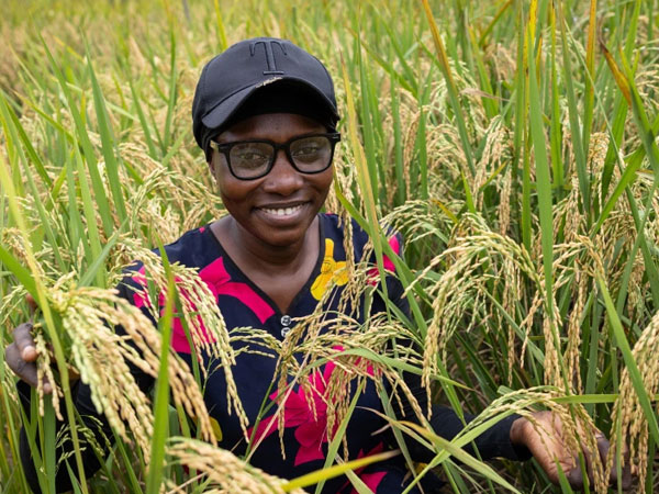 West Africa’s rice imperative: why investing in the value chain is the most important bet we can make