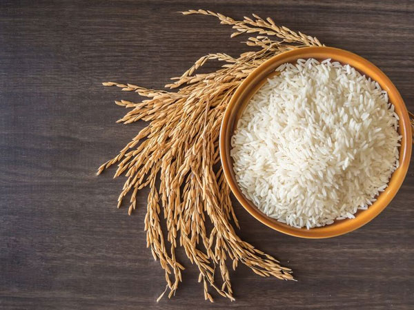 Rising costs and water stress weigh on Philippines rice output