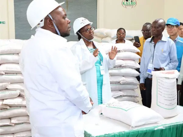 The Sh130 million seed plant that could change rice farming in Kenya