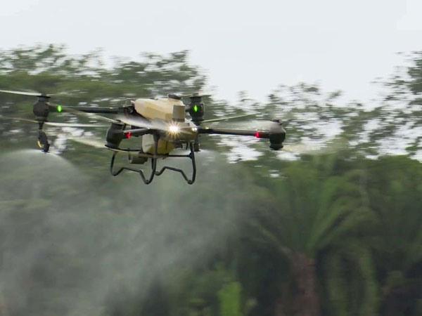 Drones Transform Rice Farming in Southern Belize, But Cut Need for Workers