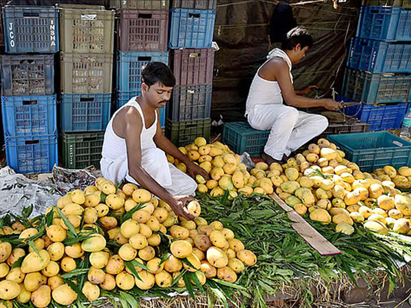 India’s farm exports face growing scrutiny as global markets tighten quality checks