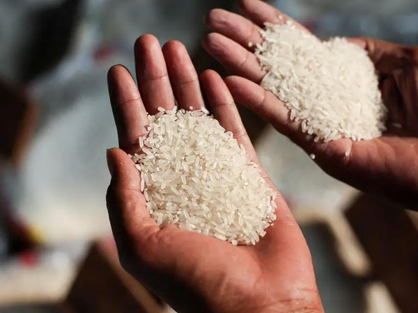 Indian rice draws global interest as 3,317 buyers from 138 countries register for BIRC 2026: IREF