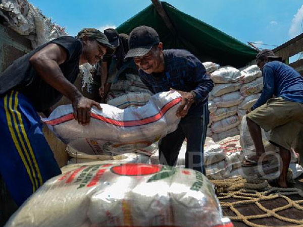 Indonesia Confirms No Industrial Rice Imports in 2026