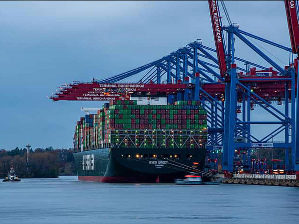 Tariff pressures persist, but rice, textiles and marine exports hold ground