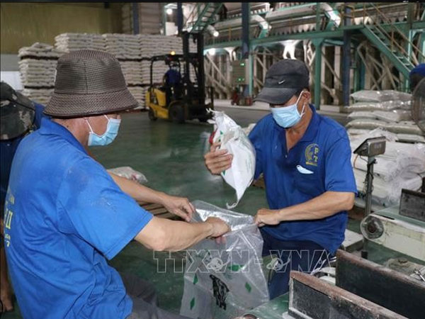 Vietnam targets stable, high-quality supply chain for future rice exports