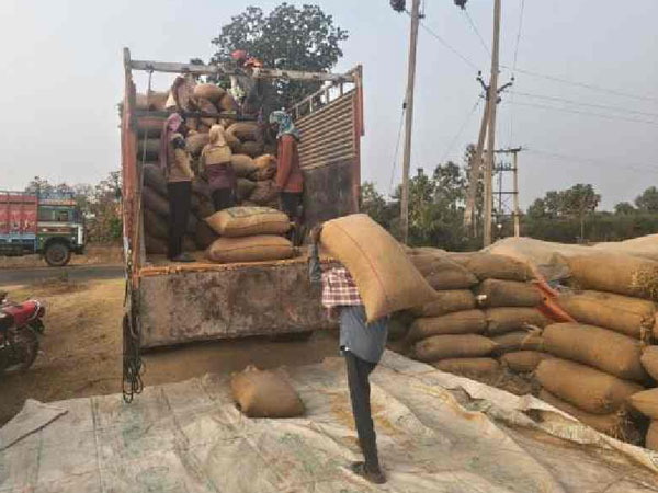 Odisha paddy procurement hit as rice millers launch indefinite strike over dues row