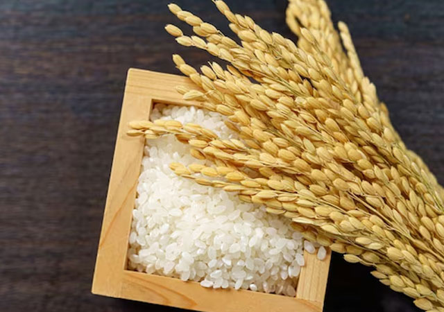 Rice exporters seek budget sops, interest subvention to boost competitiveness