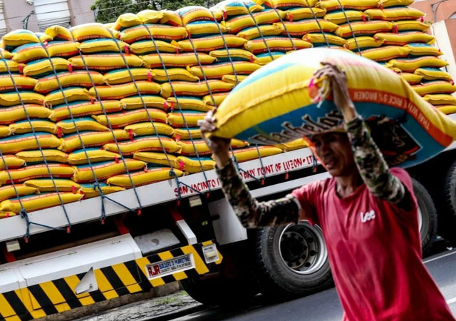 Rice imports tumble nearly 30% in 2025 after import ban