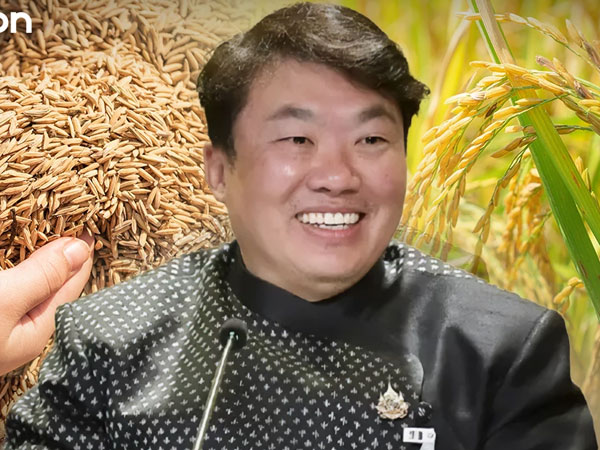 Thai Cabinet Blocks THB1.68b Rice Intervention Citing Constitutional Constraints