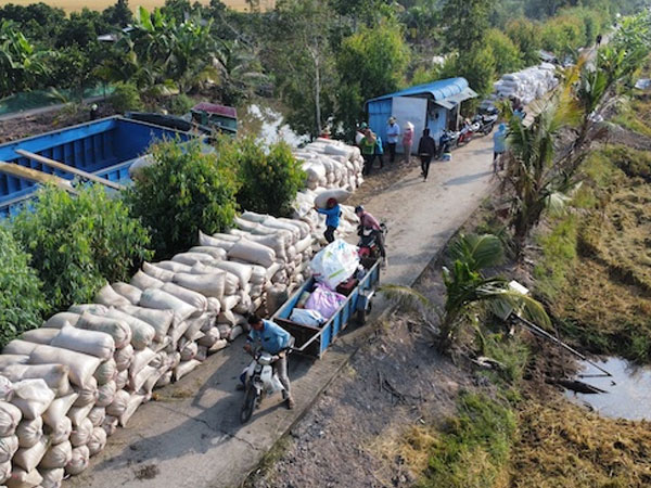 Vietnam’s rice export prices continue to fall