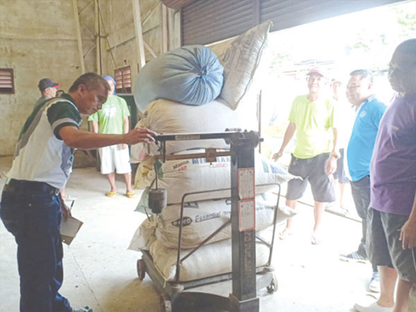 NFA earns P936.5M from sale of rice stocks