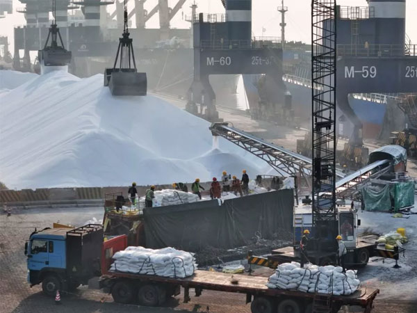 Making food supply chains more resilient to geopolitical shocks