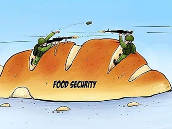 Middle East conflict threatens food security: Crop yields at risk of falling by one-third