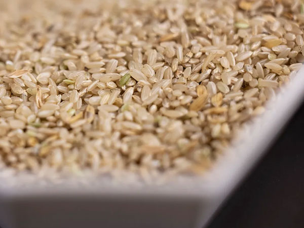 Rice industry meeting will focus on research, economics and technology