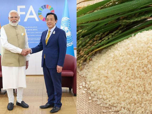 Assam's Joha rice reaches global spotlight as PM Modi gifts sample to FAO chief