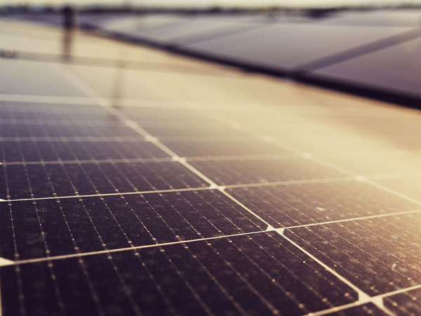 Bangladesh running trials on solar panels over rice fields to alleviate land shortage