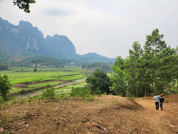 Conditions, procedures and how to calculate money when converting rice fields into residential land