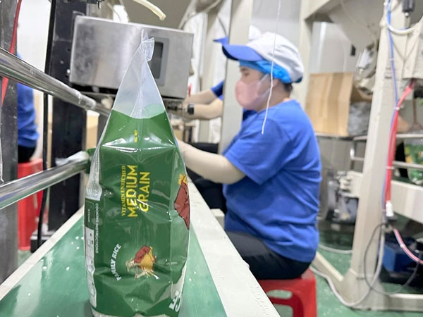 EU standards push Vietnam’s rice industry up the value chain