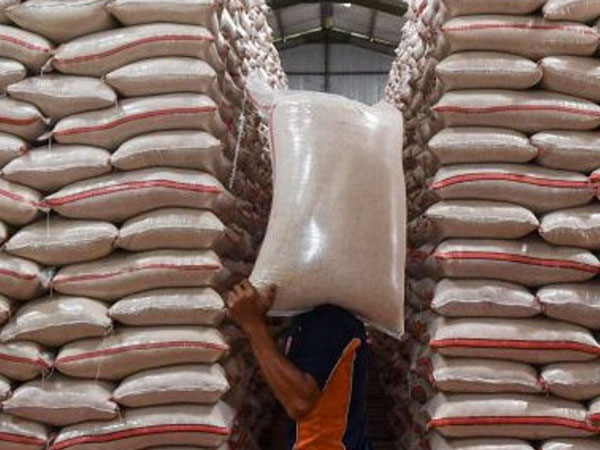 Rice production value observers need to follow productivity
