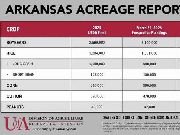 Acreage report shows Arkansas rice acres sinking to lowest level in half-century