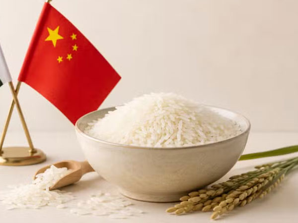 Chinese Buyers Place Huge Order for Pakistani Rice