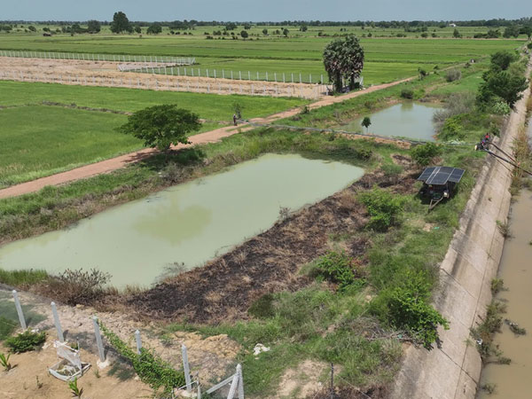 El Niño Drought Puts 108,664 Hectares of Rice Fields at Risk as Farmers Urged to Save Water