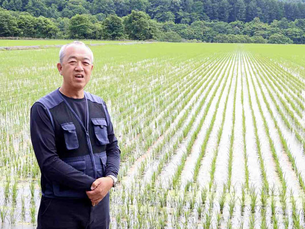 Hokkaido Rice Sees Growing Export Boom; GI Protection Label Expected to Give Further Boost