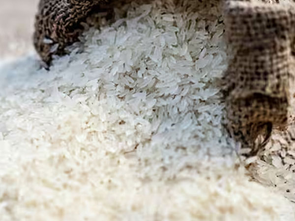 Indian rice export prices near 10 month high amid monsoon