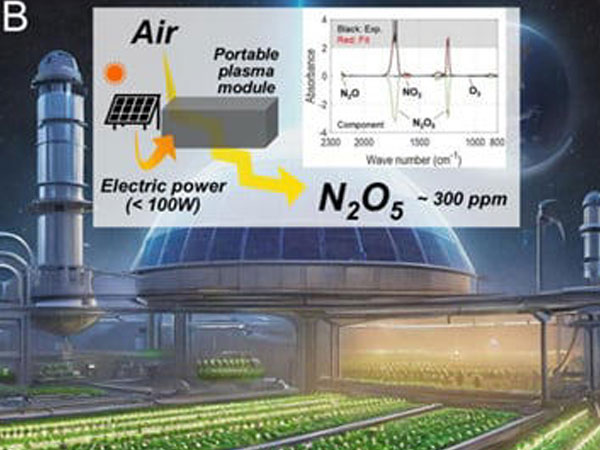 Rice grown in lunar soil with air-electric fertilizer