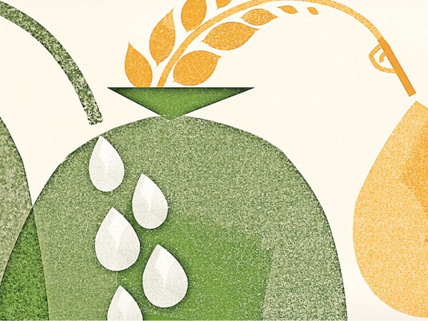 Rice-to-ethanol policy is deepening economic and environmental stress