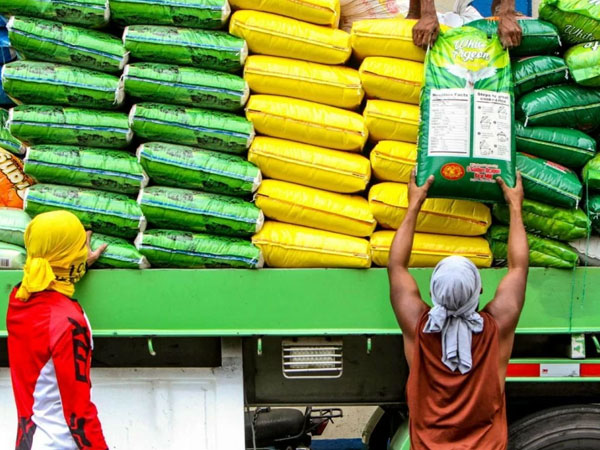 Rice wholesale prices edge down in June but annual pressures linger