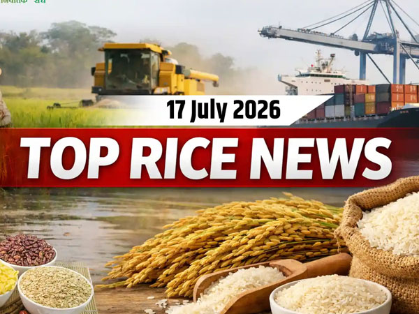 Top Rice News: Why Are Indian Rice Export Prices Rising?
