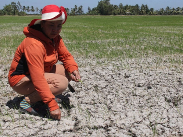 Two El Niño risk scenarios projected for Vietnam in 2026-2027