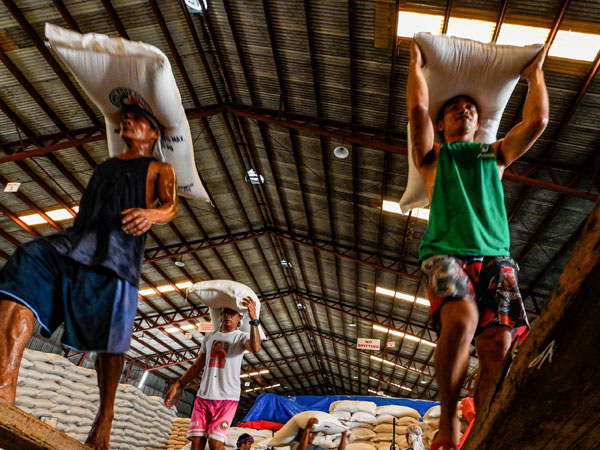 NFA to auction 37,000 metric tons of aging rice ahead of wet harvest
