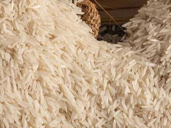 Basmati rice prices go up around 20%, non-basmati rates rise 25% amid raging US-Iran war: Report