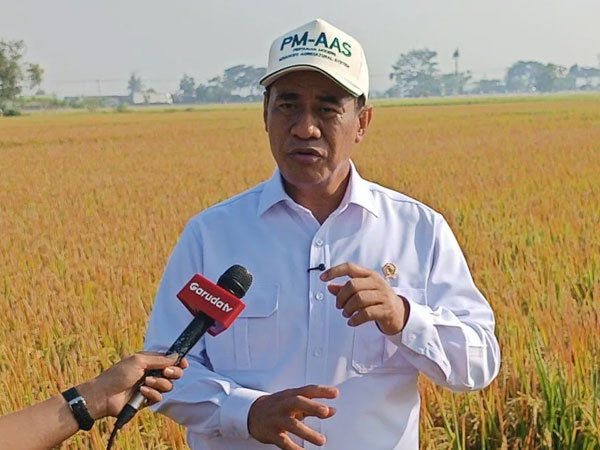 Indonesia to expand high-yield rice seeds nationwide
