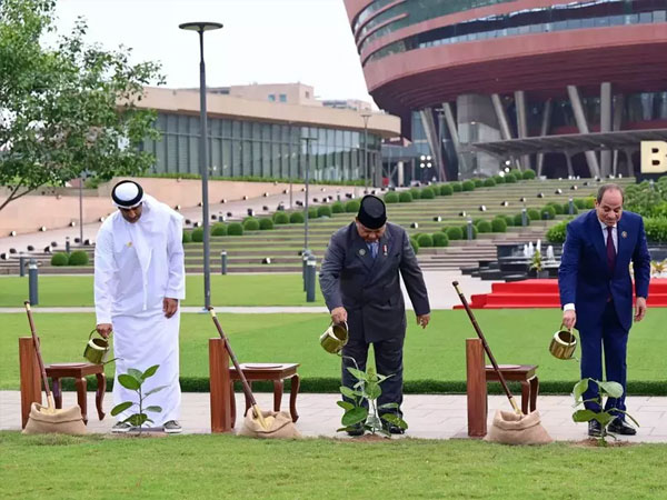 Indonesia to Upscale Rice and Maize Exports, Prabowo Tells BRICS