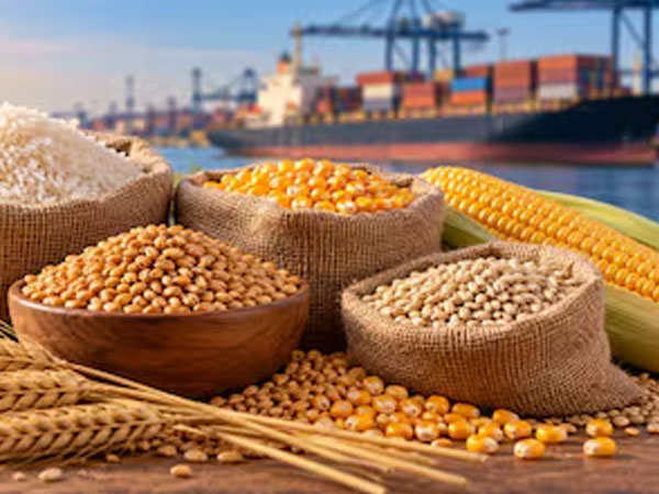 Global rice prices hit 2024 highs as supply concerns mount; wheat, corn rally