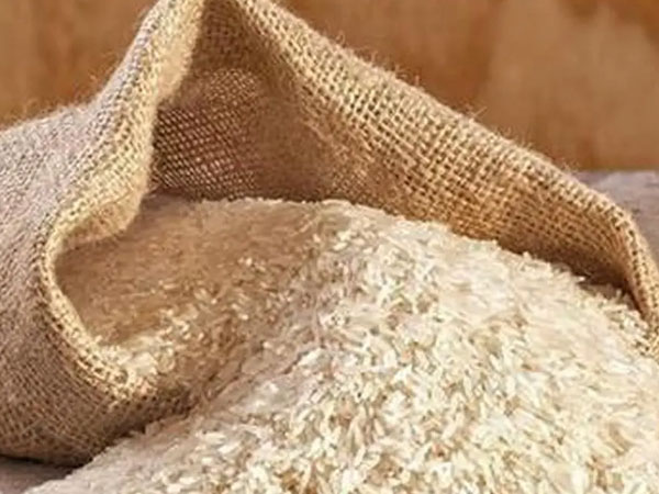 India's basmati rice yield likely to be 5-10% higher this year: Industry leader