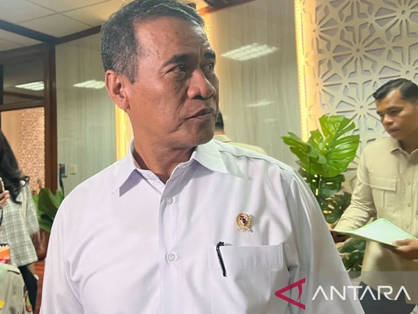 Indonesia holds 4.5 mln tons of rice reserves for El Nio: Official