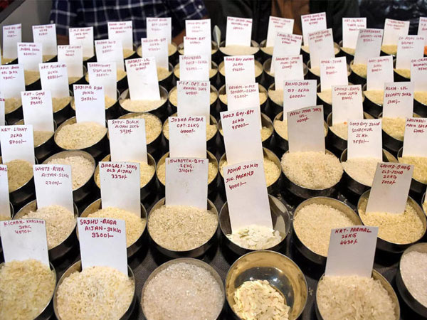 Higher tariff on Indian rice will burden US consumers, India looking for new markets: Experts
