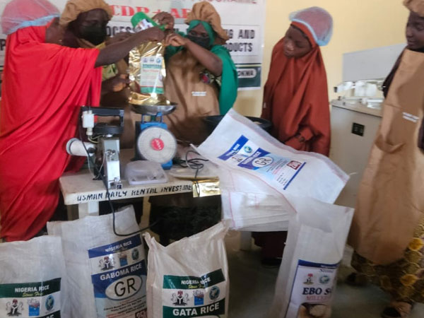 Niger VCDP processors pledge quality boost in rice, cassava products