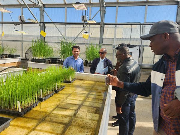 Ivory Coast Rice Millers Make Connections in Mid-South